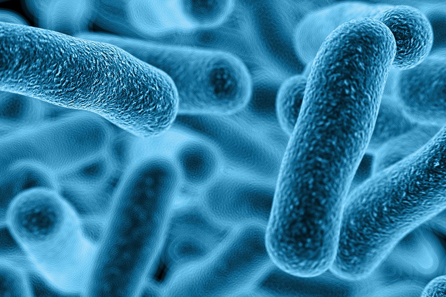 bacteria_img